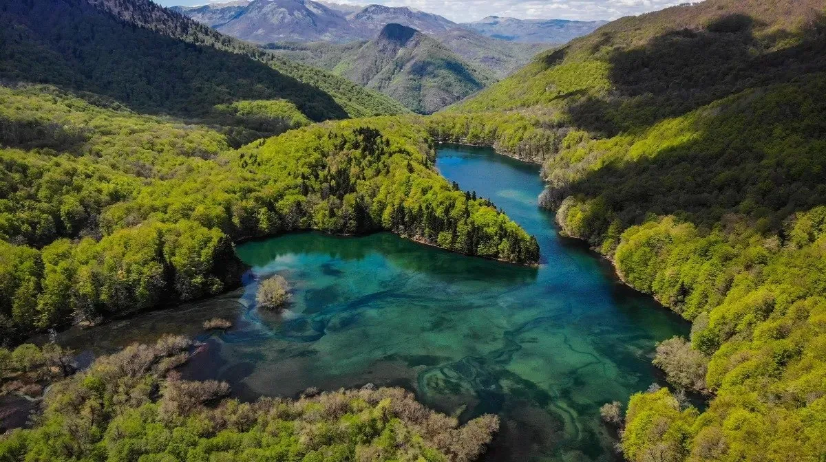 Biogradsko Lake & Forest Walk